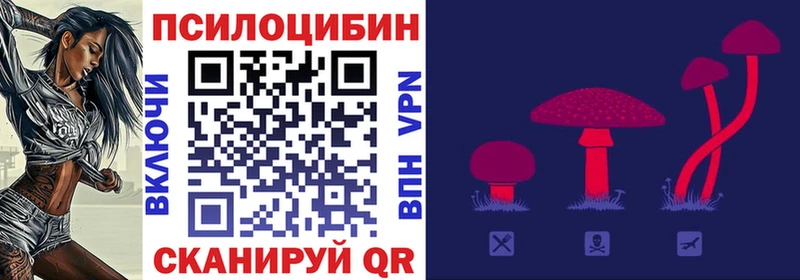 Галлюциногенные грибы GOLDEN TEACHER  Купить  Заполярный 